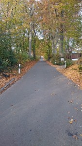 Straße Herbst
